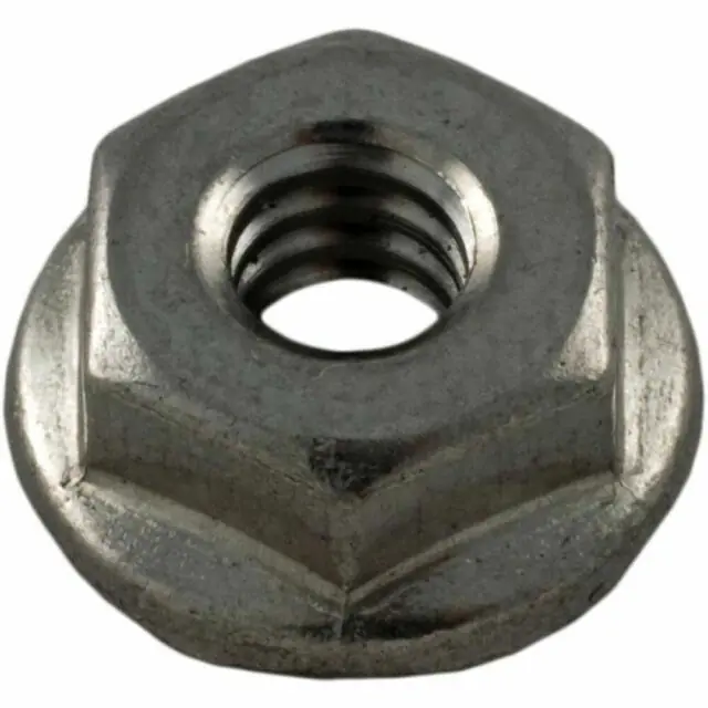 Pentair 272554Z SS Serrated Flange Nut Price Cut