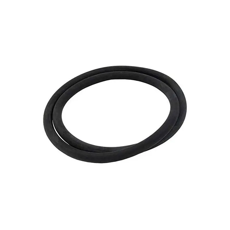 Pentair 174704 Star Tank O-Ring Authentic