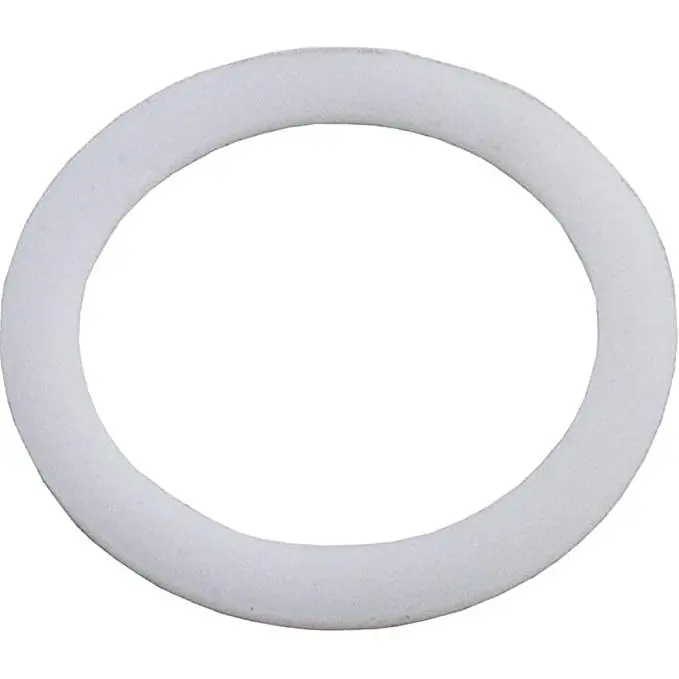 Limited Offer Pentair 14971-SM10E8 MPV Washer