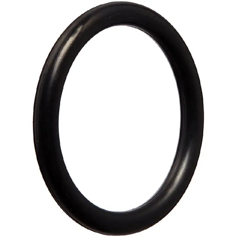 Pentair 35505-1313 Slide Valve Thermal Regulator Cap O-Ring Limited Offer