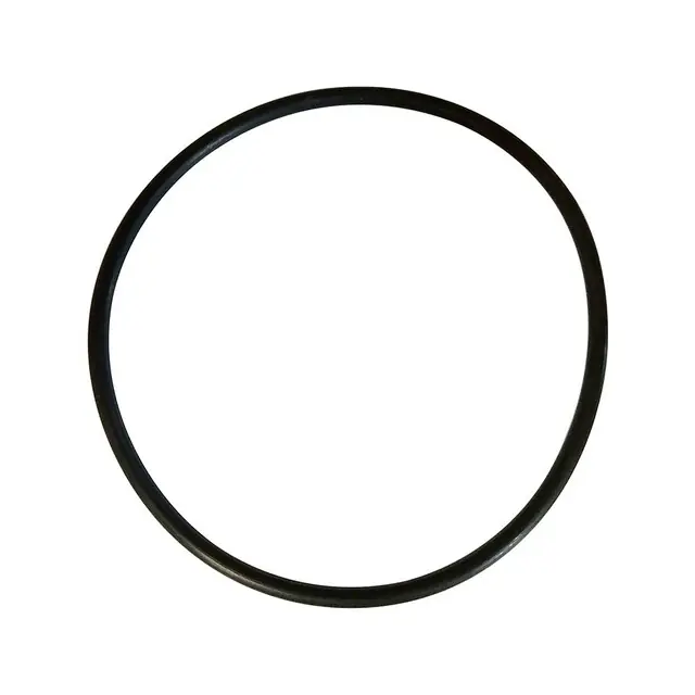 Pentair 51001000 MPV Quad Lid Ring Professional Grade