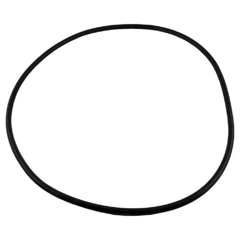 Budget Waterway 805-0000B Filter Tank O-Ring