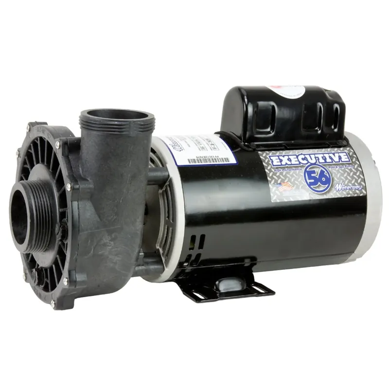 Time-Limited 5 HP Waterway Executive Spa Pump: 2" in/out 240V