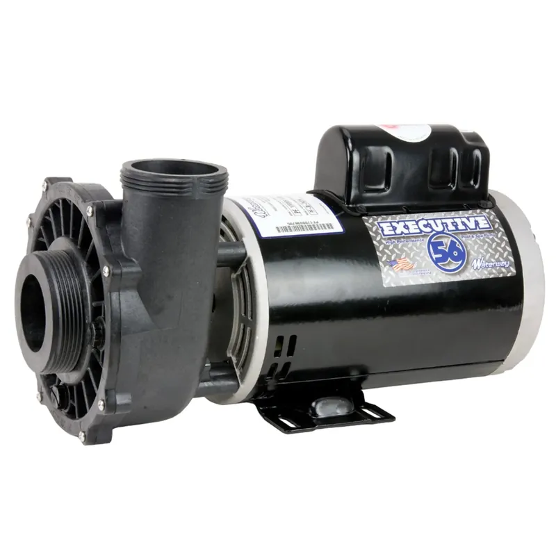 In Demand 4 HP Waterway Executive Spa Pump: 2.5" in/2.0" out 240V
