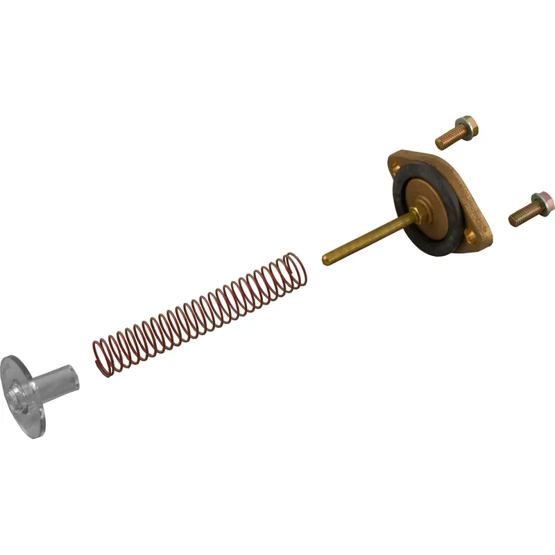 Bypass Assembly, Zodiac Jandy LRZE/LRZM 325 Free Returns
