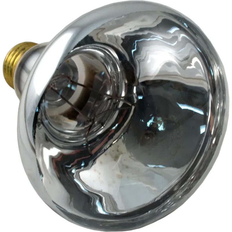 Replacement Bulb, American Products, 12v, 100w Special Offer