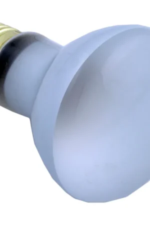 Same Day Shipping Bulb, Pentair, American Products, 115v, 60w