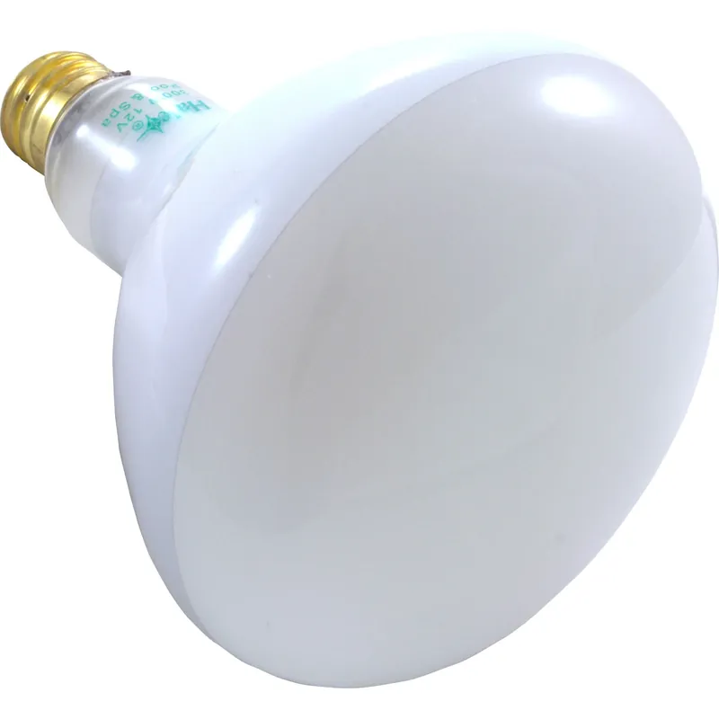 Replacement Bulb, Zodiac, 12v, 300w, Pool Popular