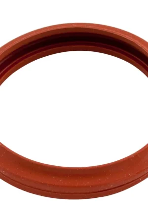 Light Gasket, Zodiac, Spa, Silicone Best Price