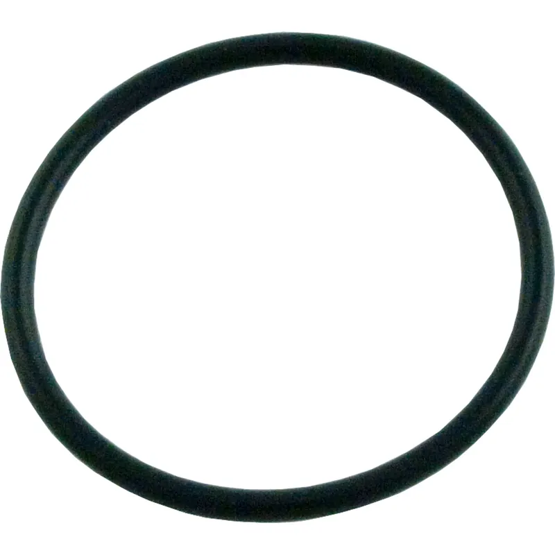 Mega Sale O-Ring, Hayward Phantom/Viper Cleaners, In-Line Filter