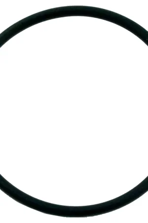 O-Ring, 2" Union Assembly, O-43 Next Day Delivery
