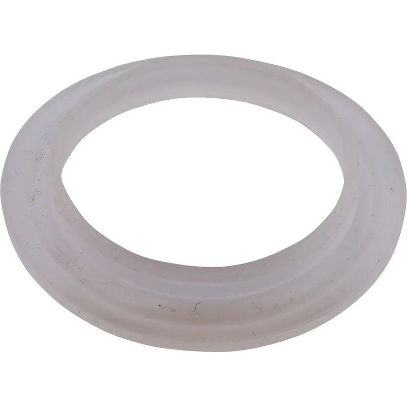Same Day Shipping Gasket, "L", Waterway