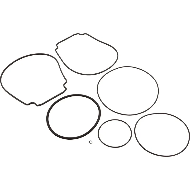 Hassle-Free Returns Pump O-Ring Kit, Generic WhisperFlo/IntelliFlo