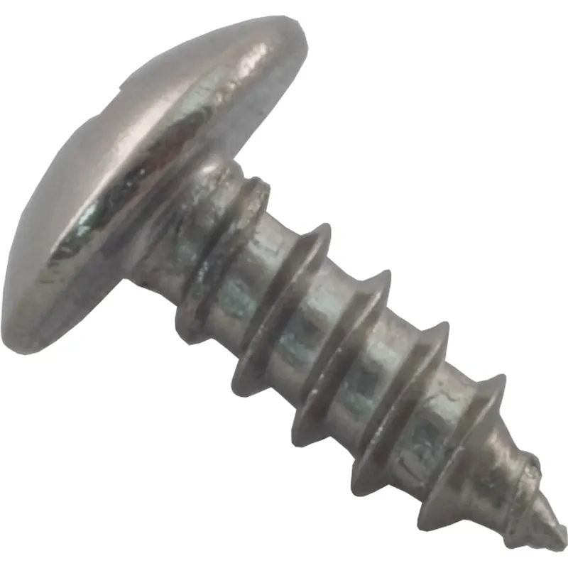 Genuine Safety Latch Screw, Pentair Rainbow RTL