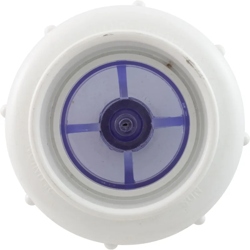 Special Offer Check Valve, Flo Control, Spring, 2"s, 1/2 lb, True Union