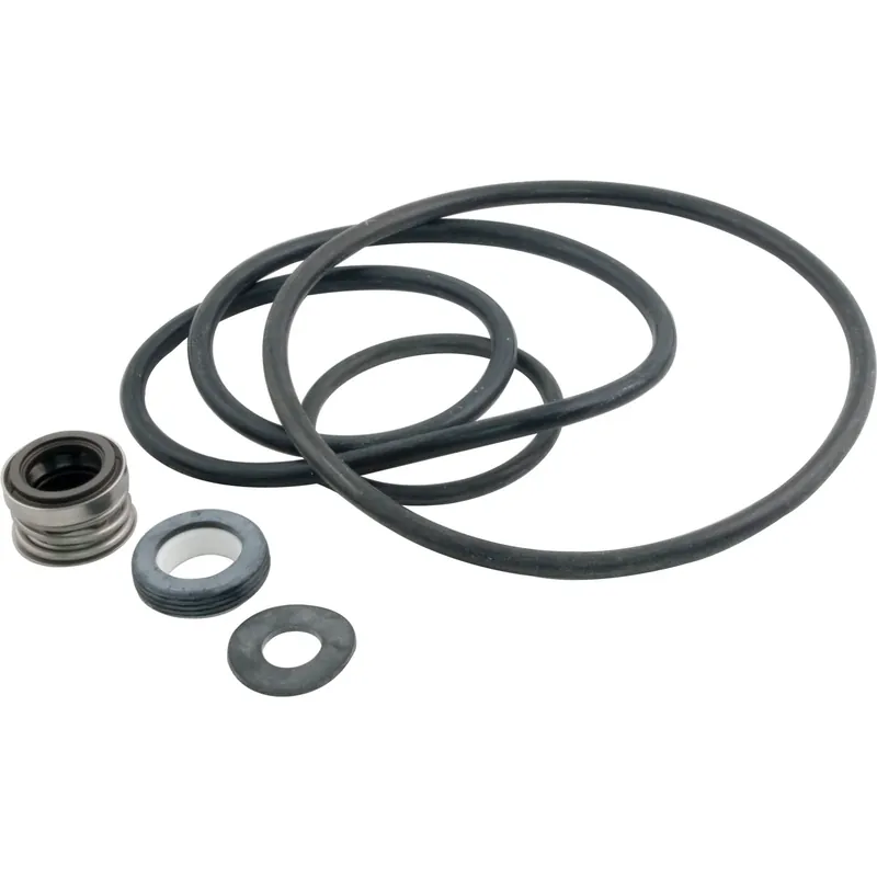 Seal Kit, Pentair Sta-Rite DynaGlas, DynaPro, DynaJet Shop Now