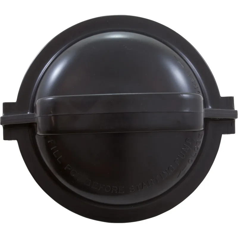 Last Chance Lid, Pentair Dynamo, for Bacquacil