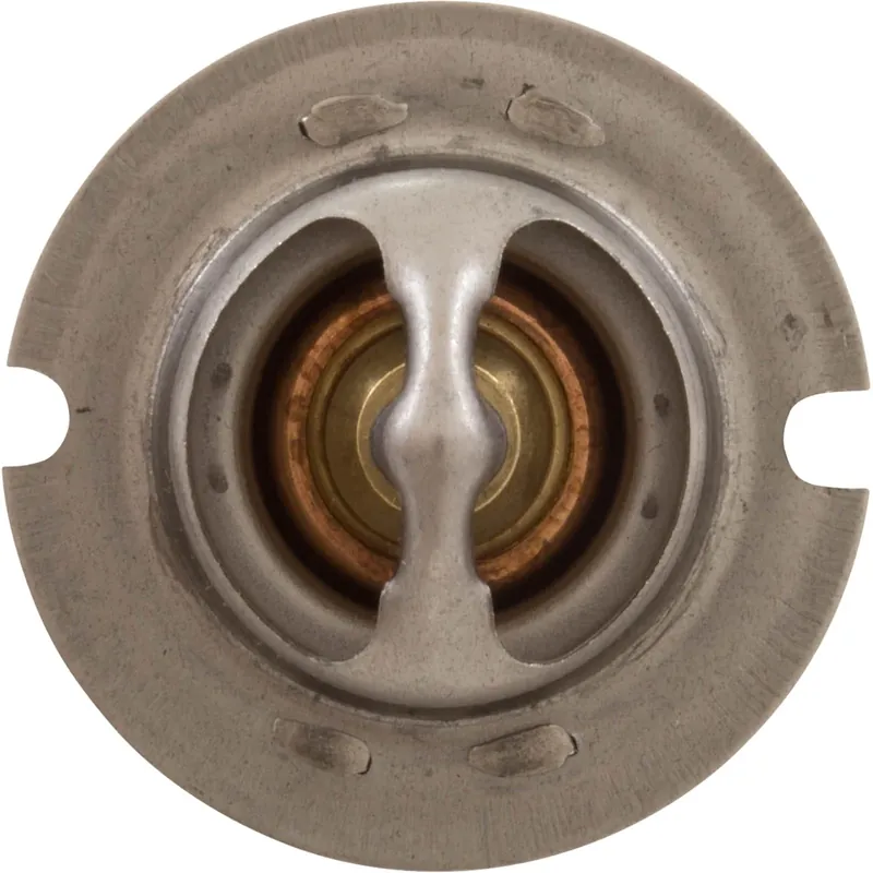 Thermal Regulator, Pentair MasterTemp 125 Buy Online