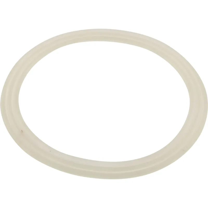 Gasket, Flat, Waterway Power Storm Jet Buy Direct