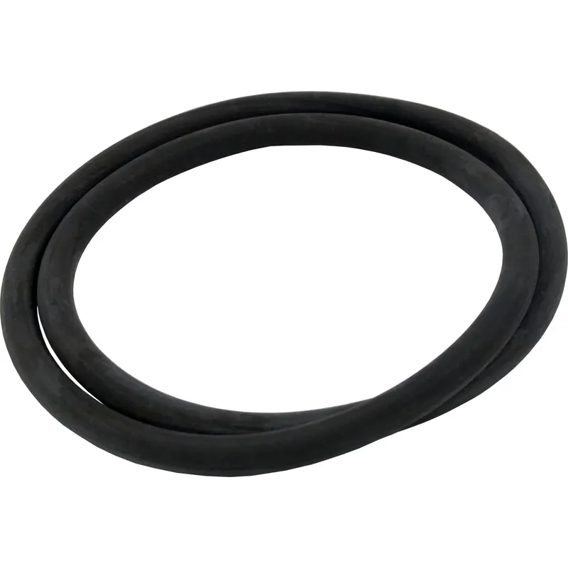 O-Ring, PentairPacFab Mytilus/Star, 12" Tank Body, O-99P Instant Buy