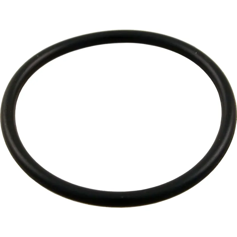 O-Ring, Hayward Perflex, Inlet Fitting, Pre 1989, O-49 Express Delivery