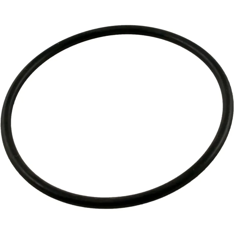 O-Ring, Waterway Crystal Water, Filter Handle, O-421 Next Day Delivery