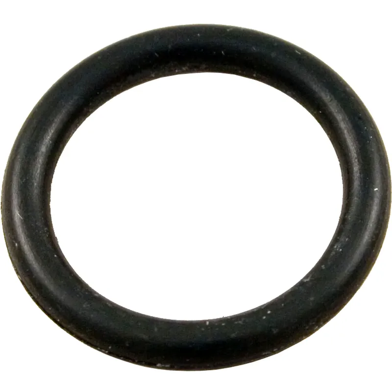 One Day Deal O-Ring, Hayward StarClear/MicroClear, Air Relief, O-27