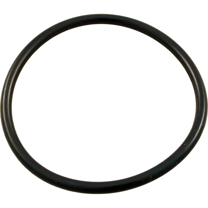 Buy Today O-Ring,Hayward StarClear/MicroClear/Pro Series,Bulkhead,O-64