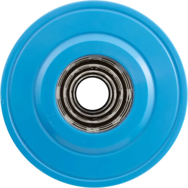 Exclusive Offer Cartridge, Raypak Protege RPCFP150/152