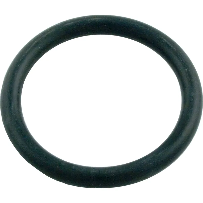 O-Ring, Pentair StaRite Bronze Push Pull, 2" Body, O-122 Deal