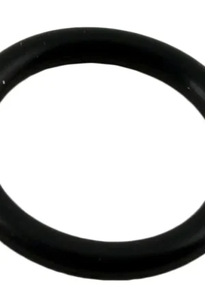 Bargain O-Ring, Waterco 2" Top/Side Mount Valves, Spring