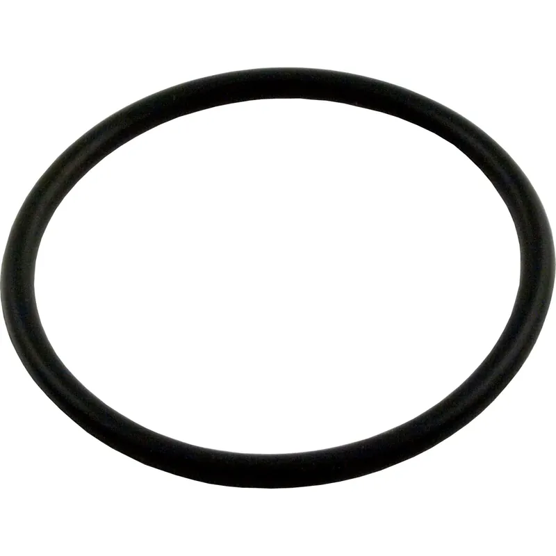 Budget O-Ring, Pentair Sta-Rite, Pump Union, O-49