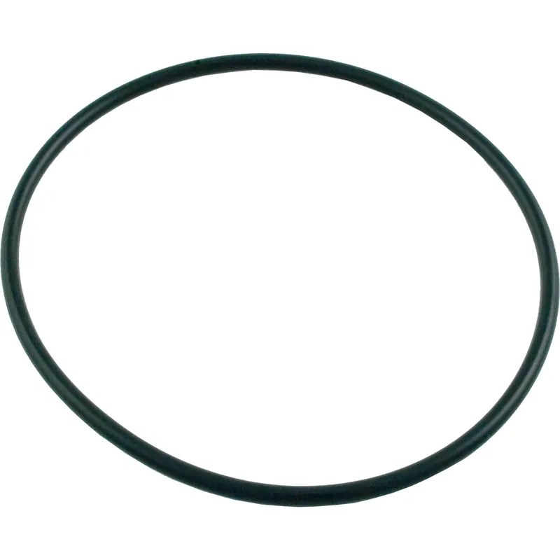 Clearance O-Ring, Pentair StaRite ABG, Seal Plate, O-336