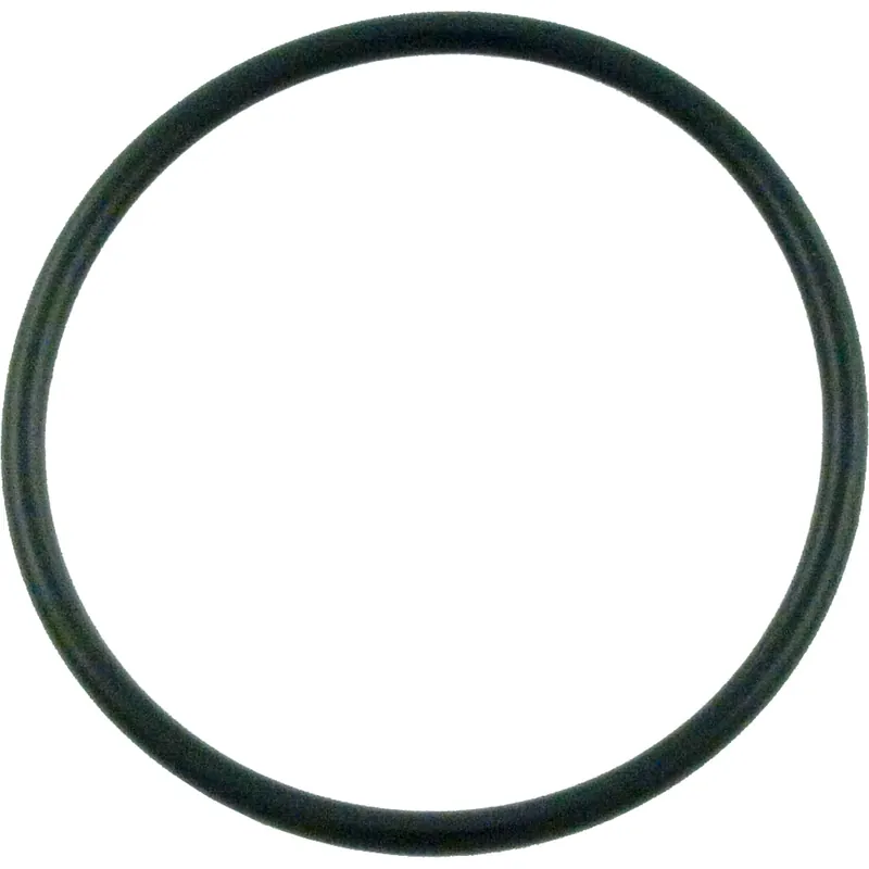 O-Ring, Pentair PacFab, Pump/Filter, O-301 Low Price