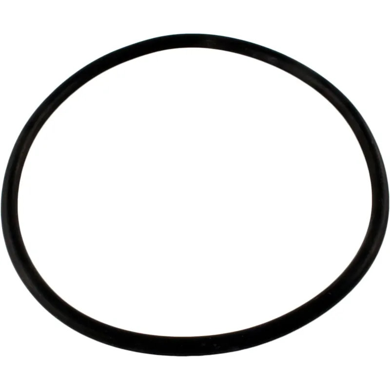 Bargain O-Ring, Hayward Tristar/EcoStar C, Trap Lid, O-13