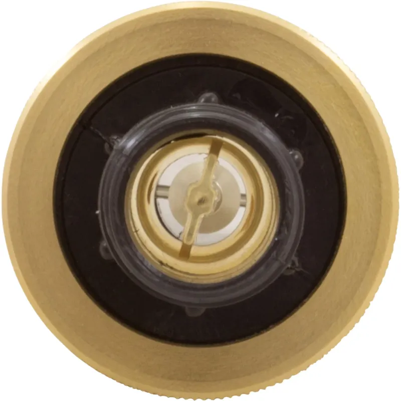 Trusted Brand Flow Meter, Pentair, 2-16 gpm,3/4" Nylon Thd End, Small Body