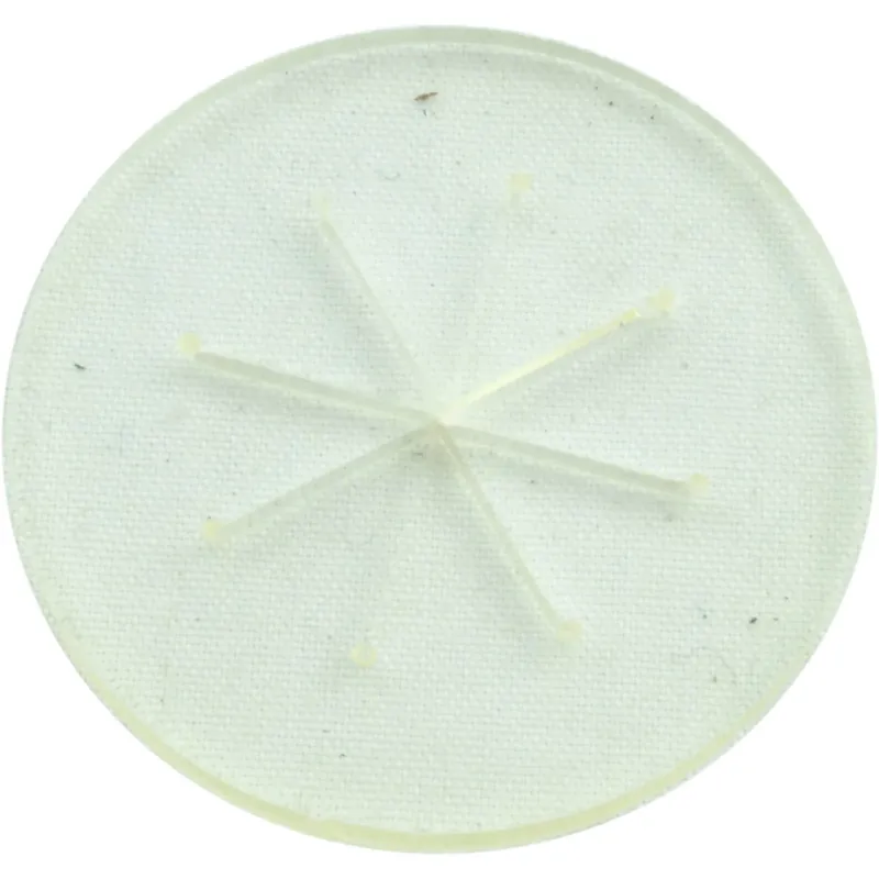 Bypass Disk, Zodiac Polaris 140 Trending