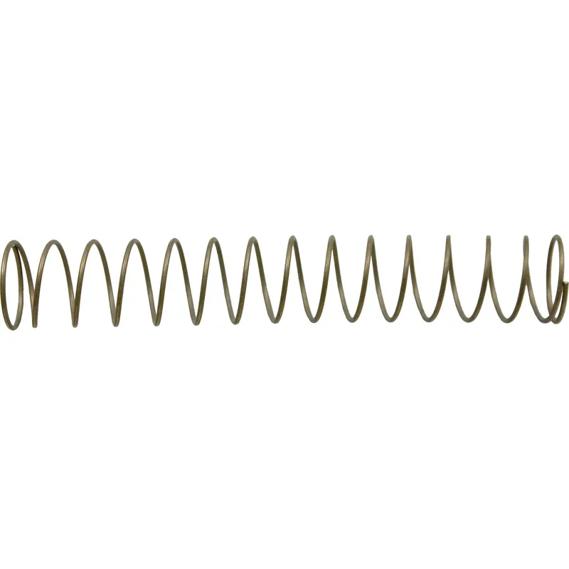 Genuine Spring, Pentair 90deg Spring Check Valve, 1 lb.