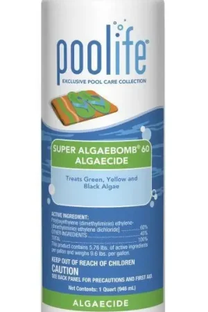 Buy Online poolife Super AlgaeBomb 60 Algaecide - 1 qt