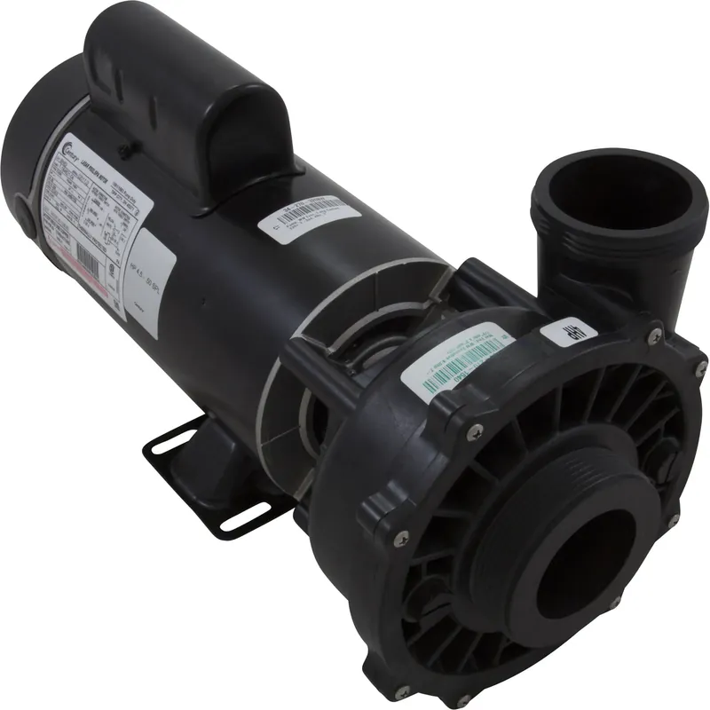 Pump, WW Exec, 4.0hp Century, 230v, 2-Spd, 48fr, 2-1/2" x 2" Grab Now