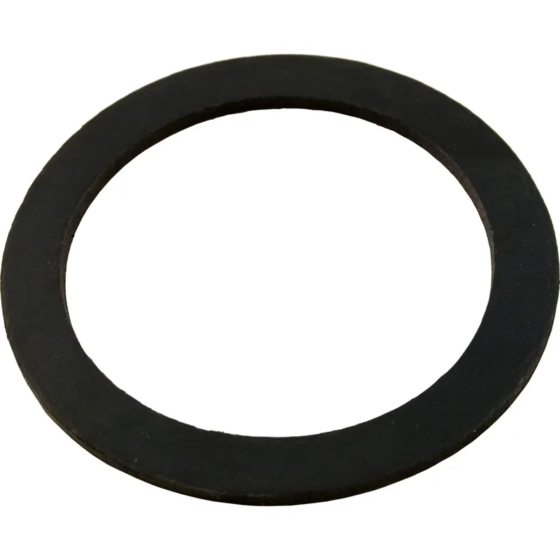 Gasket, Pentair American Products Titan/Sandpiper, Bulkhead Genuine