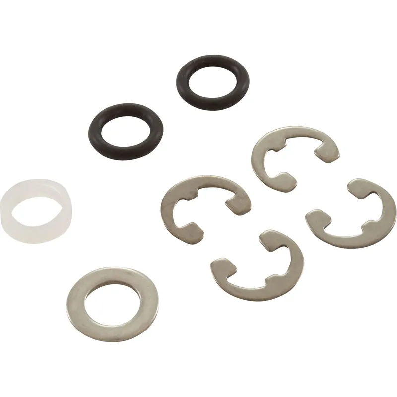 While Supplies Last Piston Kit, Hayward RegenX RG450