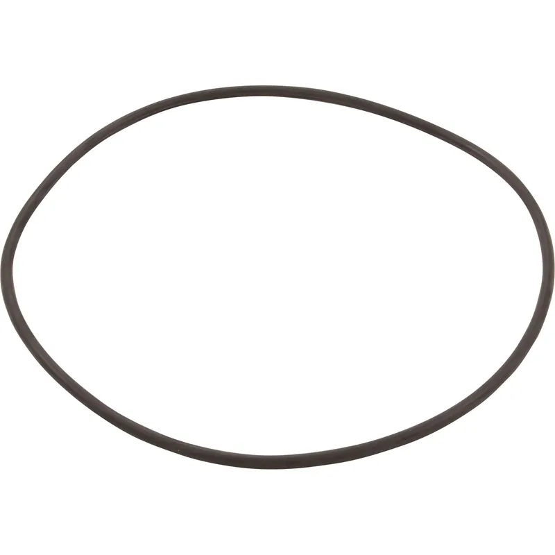 O-Ring for Filter Head Secure Checkout
