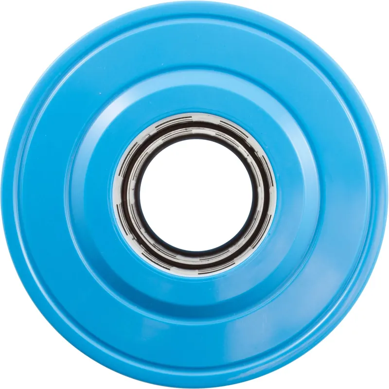 Latest Filter Cartridge Replacement Raypak Protege RPCFP50