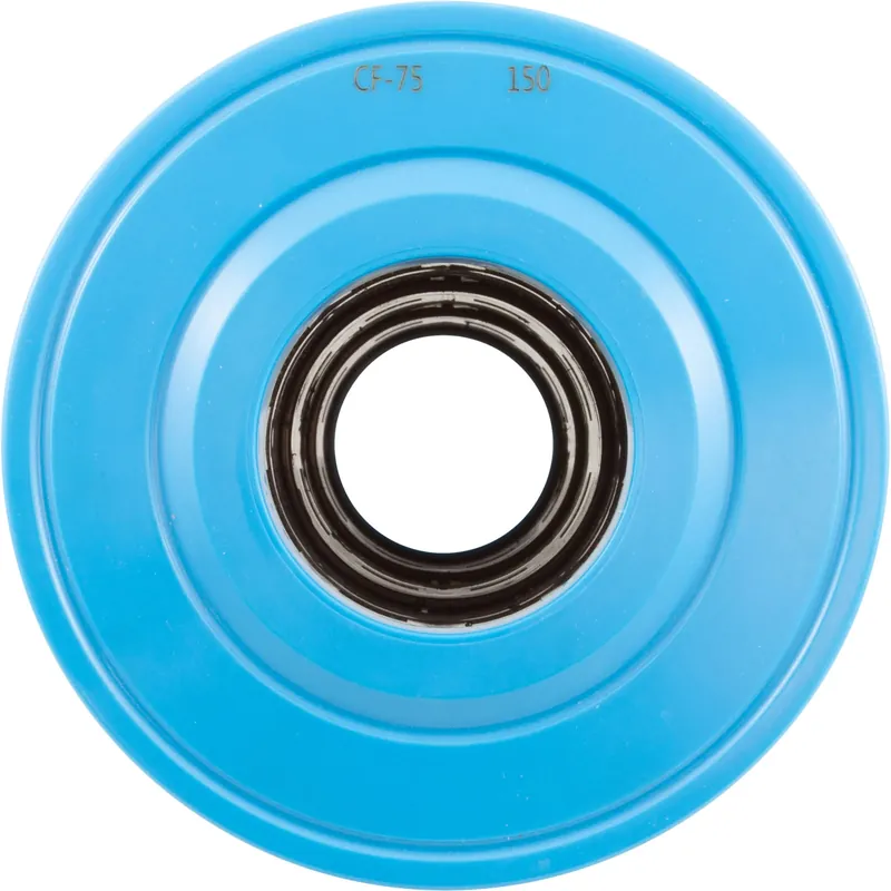 Filter Cartridge Replacement Raypak Protege RPCFP75 Deal
