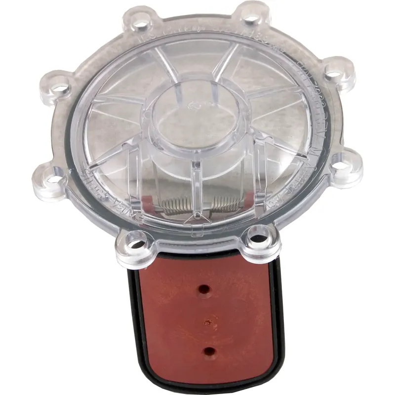 Budget Lid, Zodiac Jandy CPVC Check Valve, with Flapper