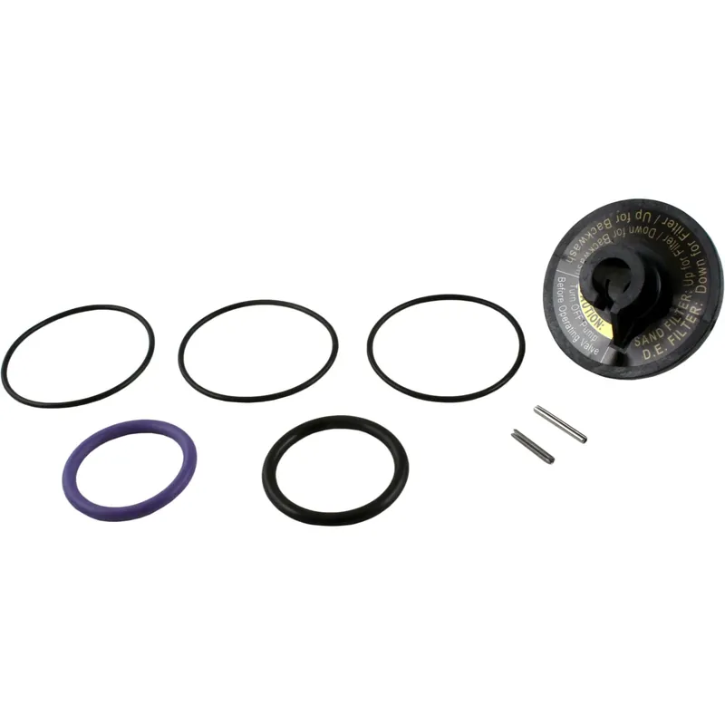 Rebuild Kit, Zodiac Jandy Slide Valve Fast Shipping