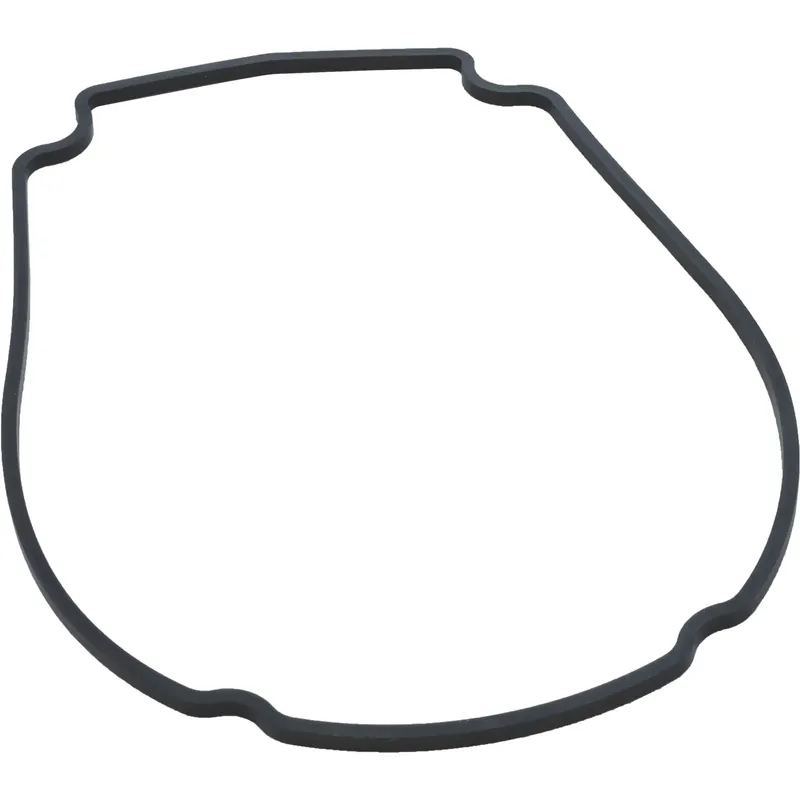 Best Seller Gasket, Waterway Econo Flo/Champion, Faceplate