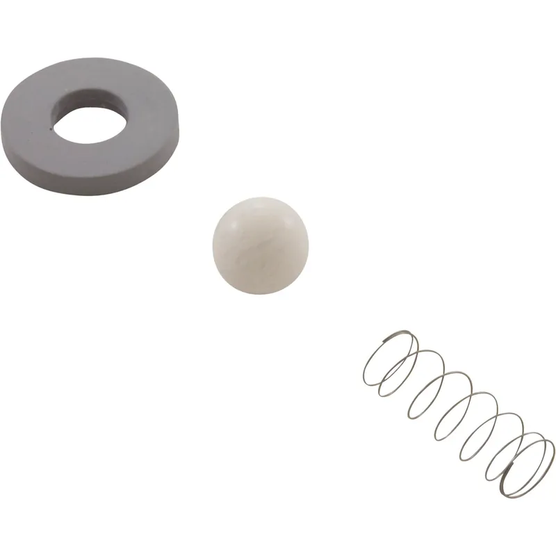 Rebuild Kit, Mazzei, Check Valve #978/C83P Weekend Sale