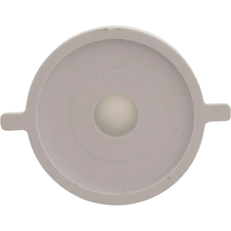 Limited Time Check Valve Assembly, CMP PowerClean Mini Chlorinator